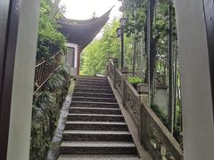 -韬光茶庵