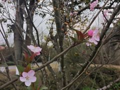 -白鹭湾湿地公园