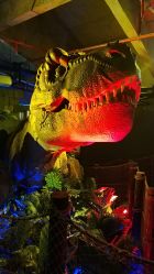 -恐龙探索乐园(磁器口店)