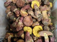 -双喜农庄·菌香园(安居家园店)