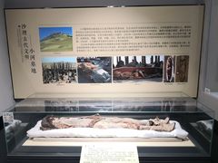 -巴音郭楞蒙古自治州博物馆