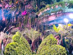 -正佳雨林生态植物园