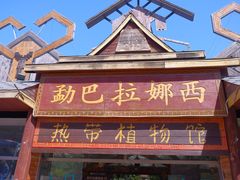 -呀路古热带植物园
