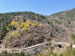 -府君山公园