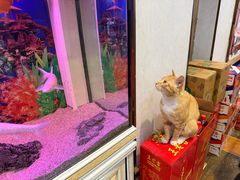 -大地烙馍村(商城路店)