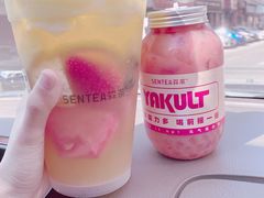 -森茶(湛江万达店)
