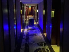 -上海圣淘沙万怡酒店