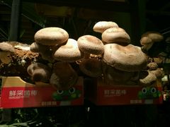 -大头椰·椰子鸡火锅(南宁万象城店)