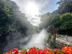 -广州白江湖森林公园