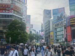 -涩谷全向十字路口