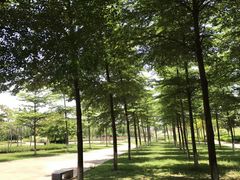 -云溪植物园