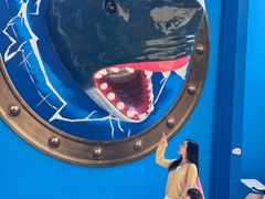 -海合安成都极地海洋公园