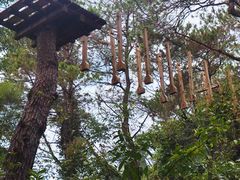 -芦仙山景区-飞越丛林探险乐园