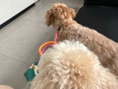 -爱诺耐芙动物医院(万博店)