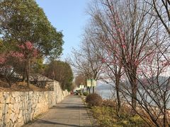 -团城山公园