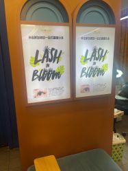 -Browhaus眉睫沙龙