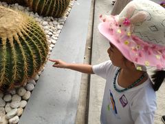 -东芭乐园