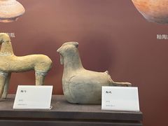 -日照市博物馆