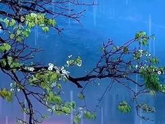 -东钱湖旅游度假区