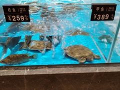 -艳阳天·非遗楚菜(武汉客厅店)