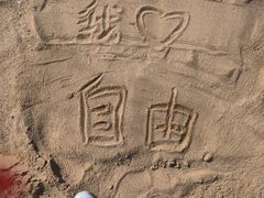 -金沙湖公园