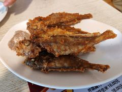-老北京馅饼粥(西单店)