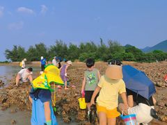 -坝光海滩