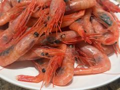 -禾斗海鲜自助(市南银座店)