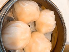 虾饺-Sun World Chinese Restaurant 新世界海鲜酒家