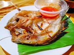 -杨合林啊兰烤鱼