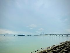 -澳门环岛游湾仔码头