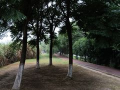 -新津老码头旅游小镇