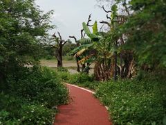 -鹤之洲湿地公园
