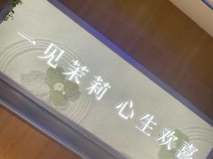 -茉莉奶白(广州动漫星城店)