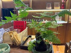 -宣科纳西古乐·非遗体验空间(大水车店)