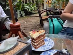 -Fern Forest Cafe