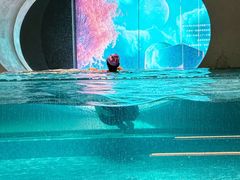 -涨巢·潮玩水疗局