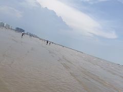 -奉贤海滩