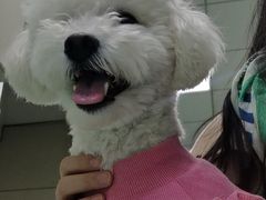 -北京观赏动物医院·24小时大型综合·猫专科·异宠专科