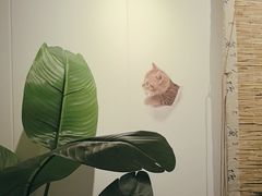 -山也·私厨(岳麓店)
