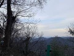 -灵顺寺
