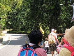 -广州市流溪河国家森林公园