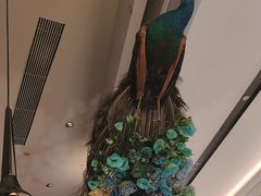 -雀蓝川菜(滨湖万象汇店)
