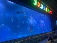 -蓬莱欧乐堡海洋极地世界