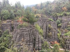 -梭布垭石林景区