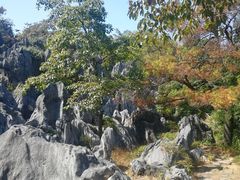 -千岛湖石林