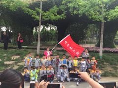 外出活动&nbsp;—春游世博园-灞桥十里铺舒克幼儿园