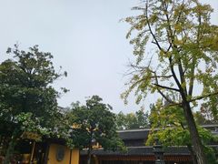 -龙华寺