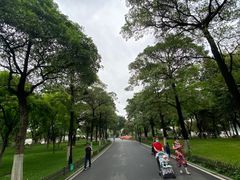 -海珠湖公园