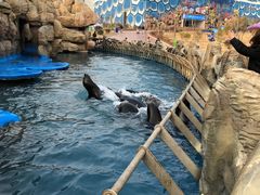 -华夏文旅海洋公园